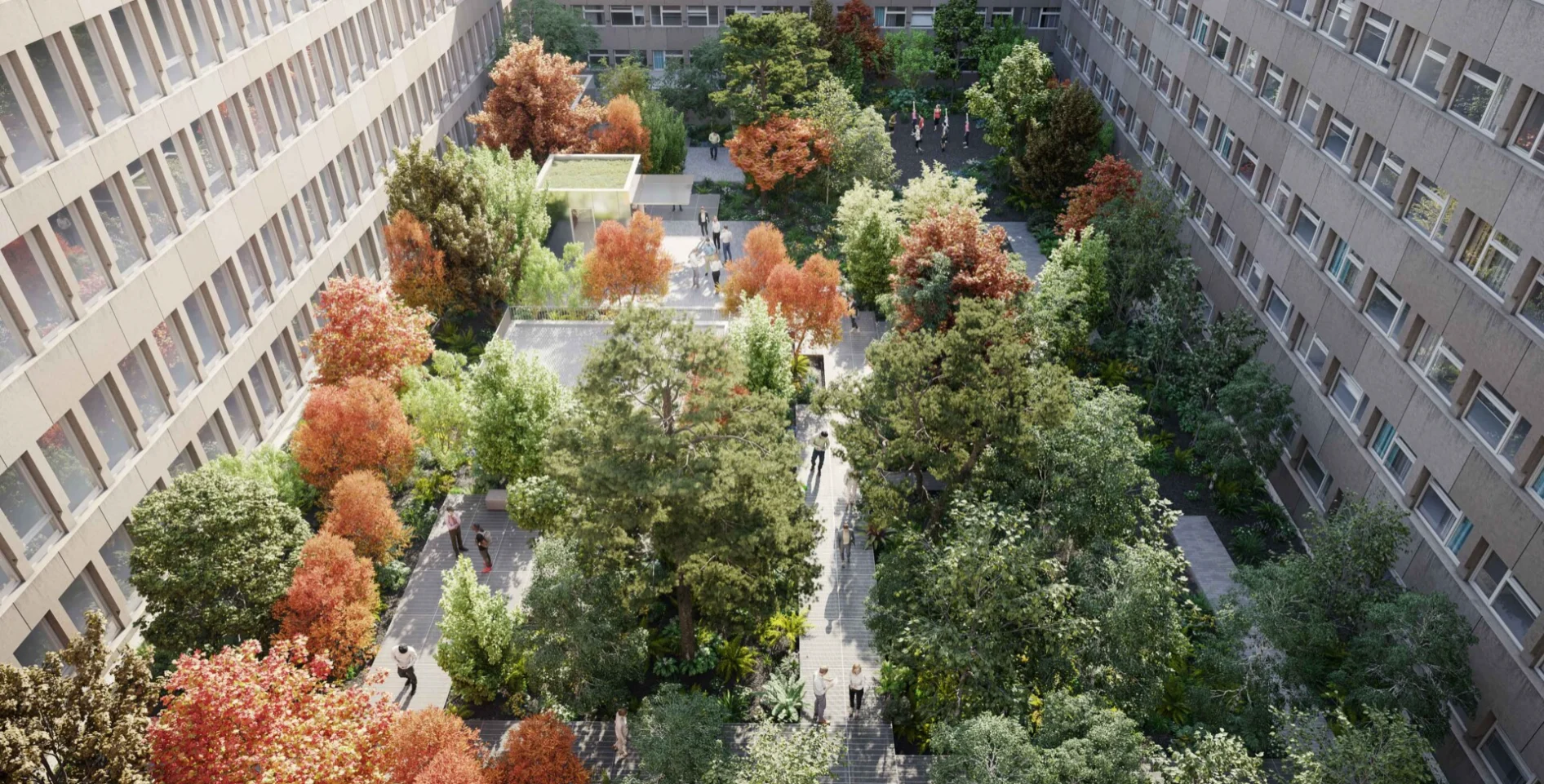 Rooftop forest at Maple House