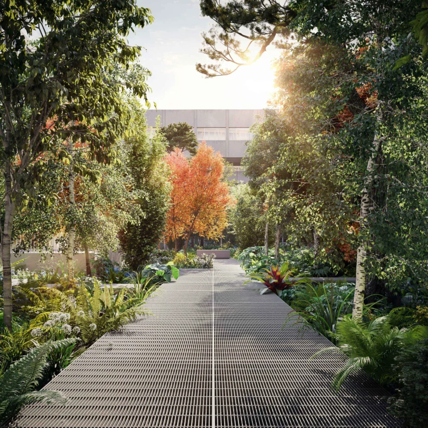 Walkway through the rooftop forest at Maple House