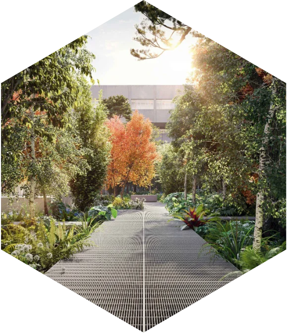 Rooftop garden with trees and a paved path